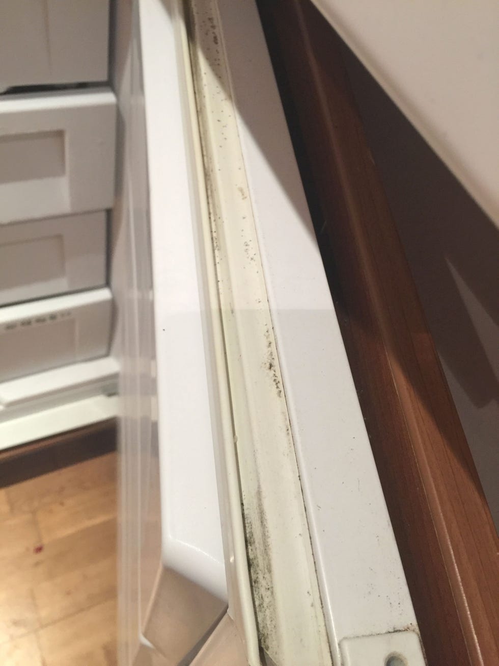 mold