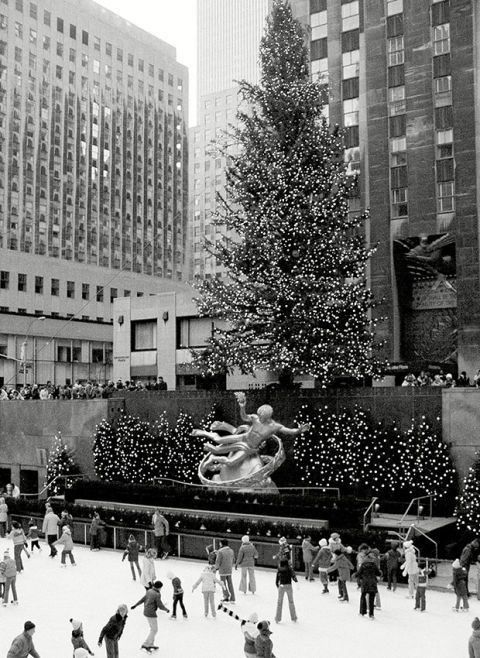 White, Christmas tree, Black, Tree, Metropolitan area, People, Black-and-white, Metropolis, Urban area, Monochrome photography, 