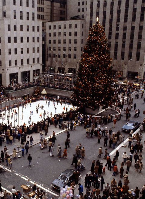 Crowd, People, Metropolitan area, City, Public space, Urban area, Human settlement, Christmas tree, Town square, Tree, 