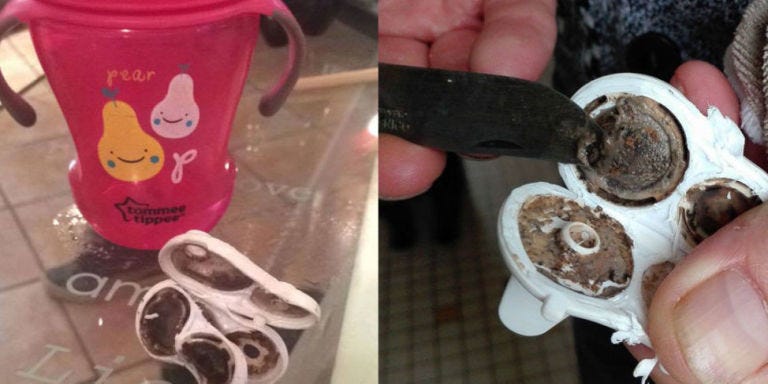 moldy cups