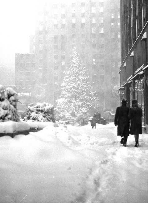 Snow, White, Winter, Blizzard, Winter storm, Freezing, Black-and-white, Urban area, Monochrome, Tree, 