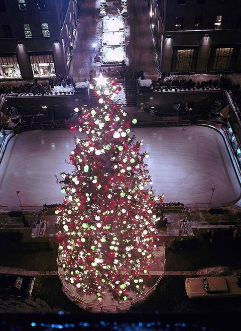 Christmas tree, Tree, Christmas decoration, Christmas, Christmas lights, Architecture, Interior design, Christmas ornament, Plant, Holiday, 