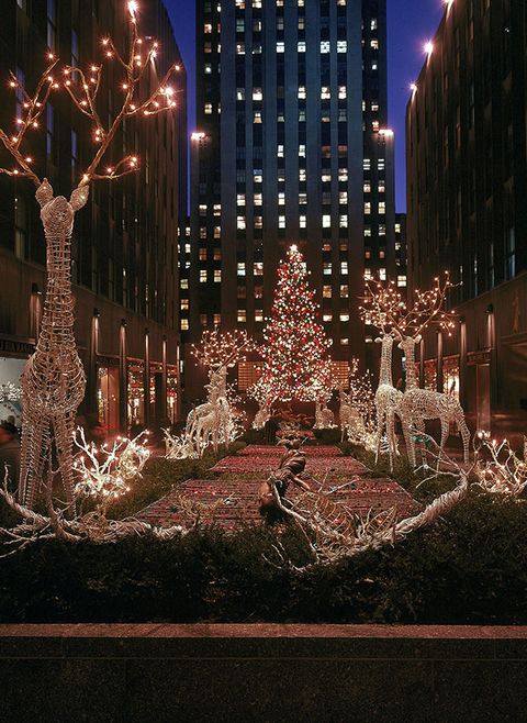Landmark, Metropolitan area, Lighting, Light, Christmas lights, Metropolis, Christmas, Tree, Urban area, Human settlement, 