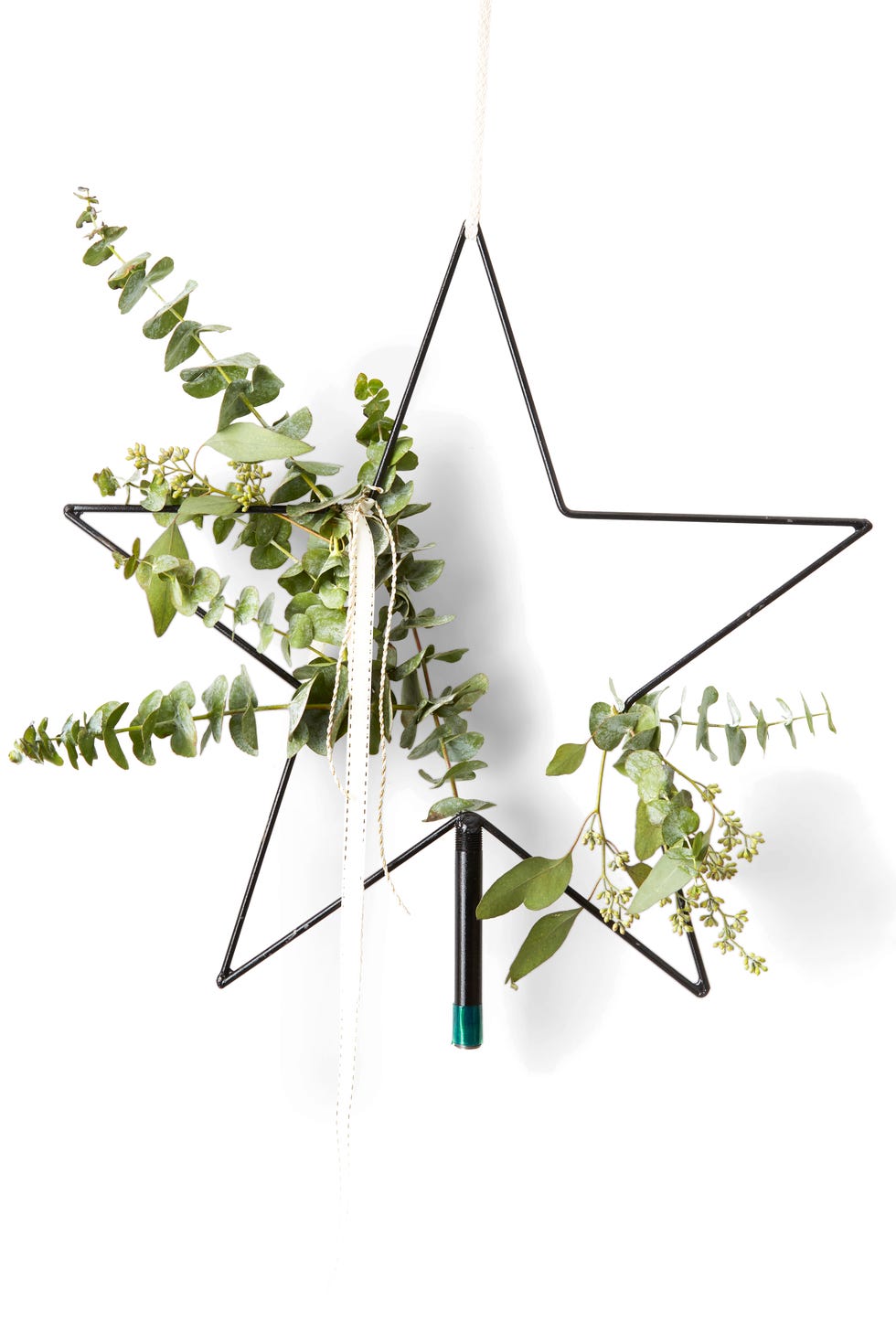 diy christmas wreaths, star shaped wreath with eucalyptus