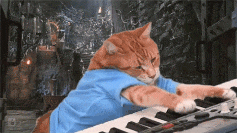 Cat, Electronic instrument, Pianist, Felidae, Whiskers, Musical keyboard, Small to medium-sized cats, Technology, Musical instrument, Keyboard, 