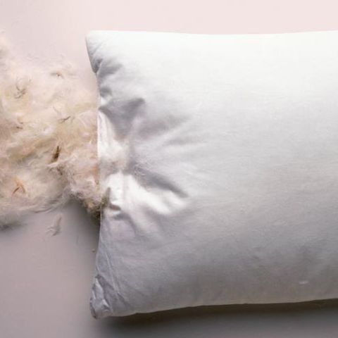 Real feather sale pillows