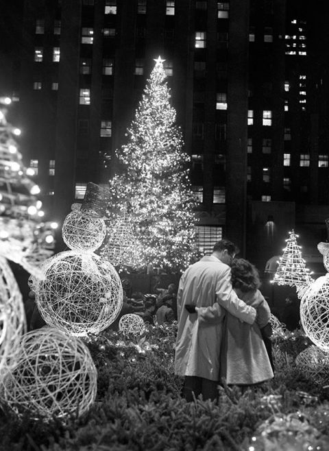 Christmas tree, White, Black, Christmas ornament, Tree, Christmas, Black-and-white, Christmas decoration, Monochrome photography, Christmas eve, 