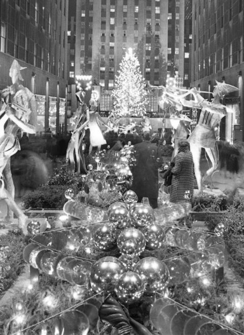 Christmas tree, Christmas ornament, Snapshot, Tree, Monochrome, Black-and-white, Photography, Christmas eve, Stock photography, Plant, 