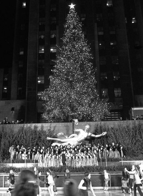 White, Black, Tree, Christmas tree, Black-and-white, Water, Monochrome, Monochrome photography, Public space, Snapshot, 