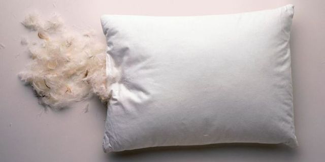 Can You Use Chicken Feathers for Pillows 