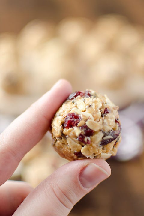 45 Easy Protein Bite Recipes Best No Bake Energy Bites In Chocolate 45-easy-protein-bite-recipes-best-no-bake-energy-bites-in-chocolate
