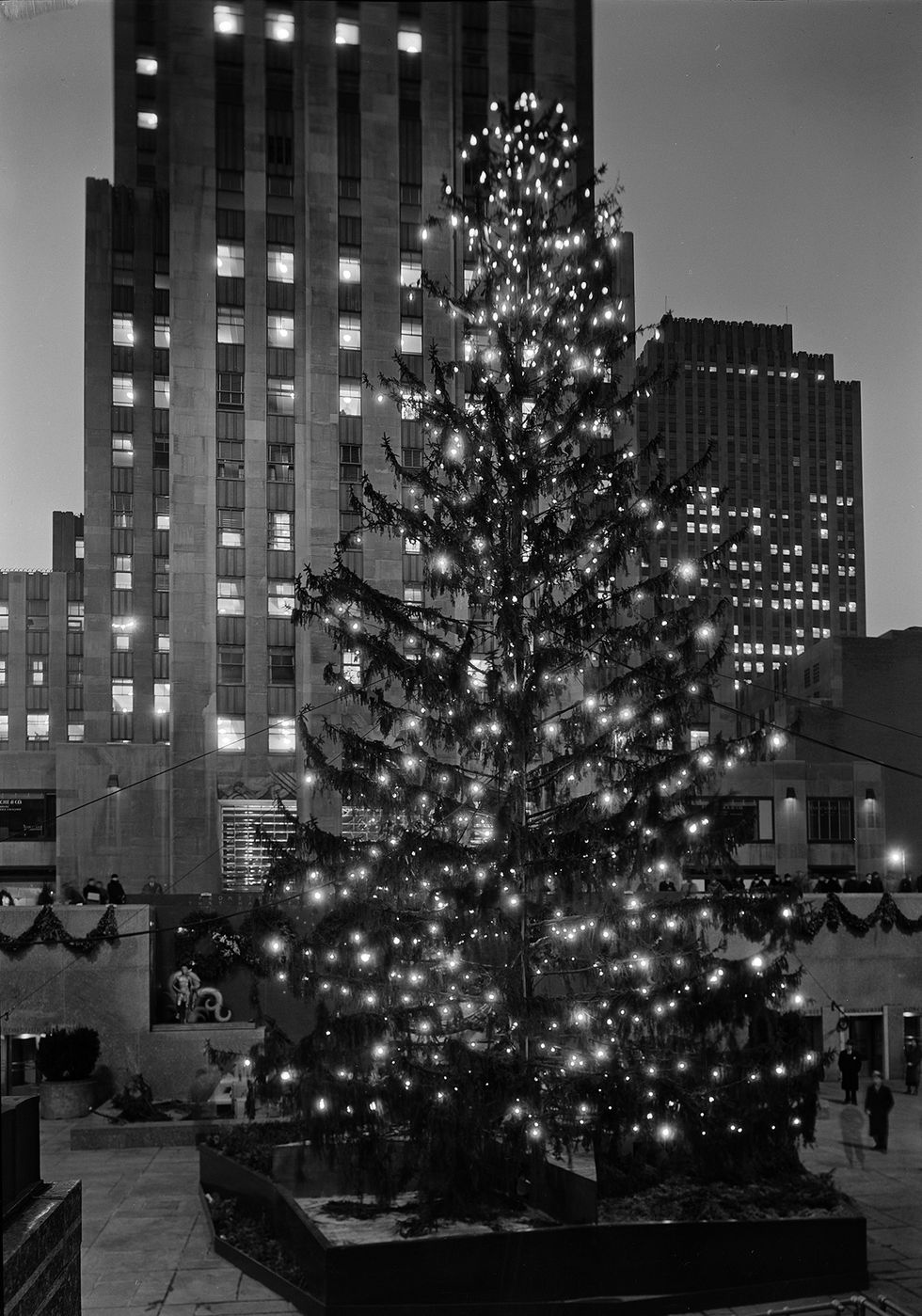 Christmas tree, White, Tree, Urban area, Black, Metropolitan area, City, Metropolis, Black-and-white, Christmas decoration, 