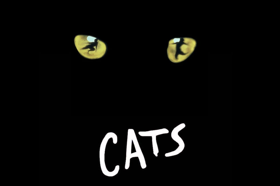<p><em data-verified="redactor" data-redactor-tag="em"></em>One of Broadway's longest running shows, Andrew Lloyd Webber's&nbsp;<em data-redactor-tag="em" data-verified="redactor"><a href="https://www.broadwayhd.com/index.php/shows/watch/Cats?utm_source=Hearst&amp;utm_medium=SD&amp;utm_campaign=Cats&amp;utm_content=C" target="_blank" data-tracking-id="recirc-text-link">Cats</a>&nbsp;</em><span class="redactor-invisible-space" data-verified="redactor" data-redactor-tag="span" data-redactor-class="redactor-invisible-space">needs little introduction. Instead of springing for a trip to New York to marvel at the&nbsp;incredibly&nbsp;dextrous&nbsp;kitties clad in spandex,&nbsp;you and your family&nbsp;can watch it from the comfort of your couch&nbsp;for less than the price of <a href="http://offer4you.info/holidays/gift-ideas/g474/pet-gifts/%22 target="_blank" data-tracking-id="recirc-text-link">a pet toy</a>.</span></p>
