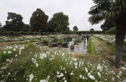 Princess Diana memorial garden