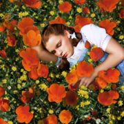 People in nature, Flower, Orange, Plant, Spring, Wildflower, Annual plant, Flowering plant, Petal, Coquelicot, 