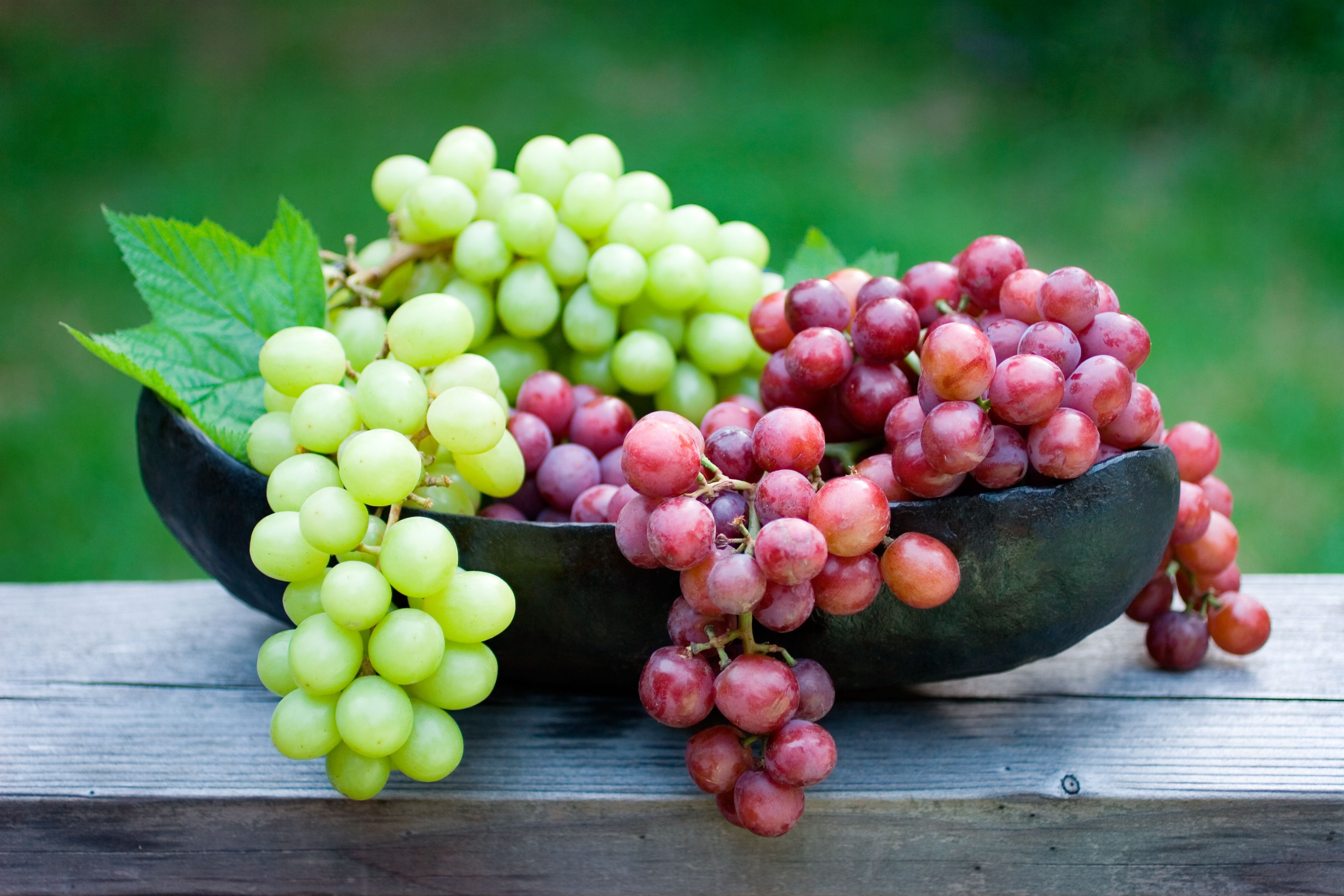 red grape varieties