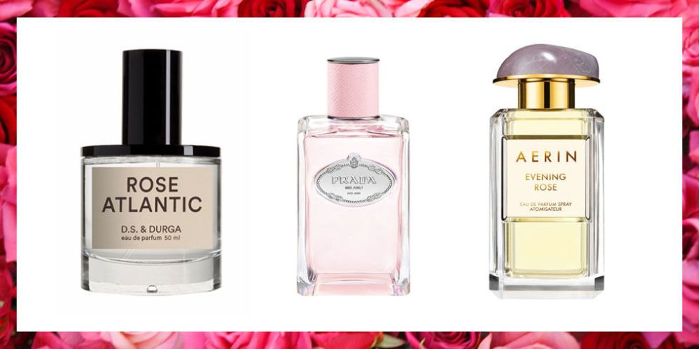 10-best-rose-scented-perfumes-fragrances-that-smell-like-roses