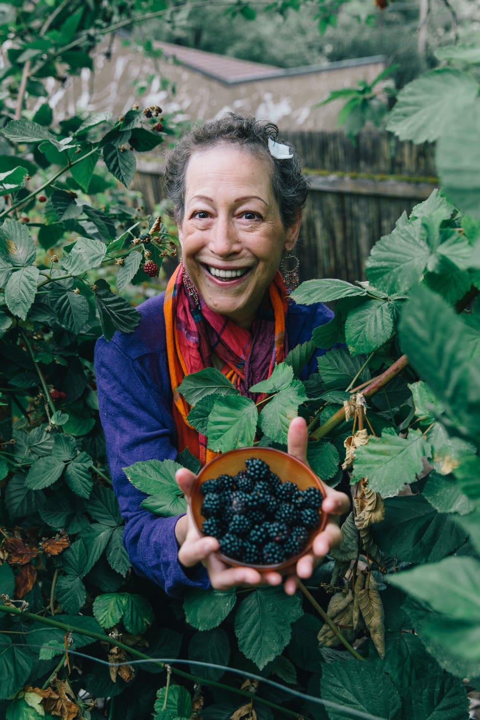 Jill Cohen
