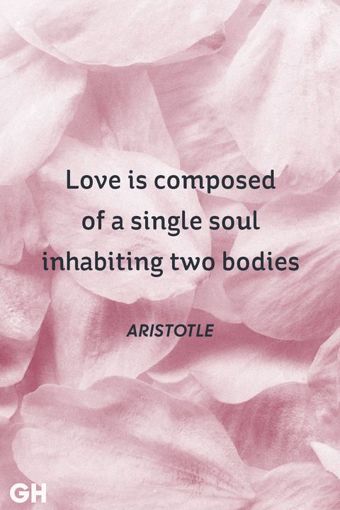 aristotle love quote