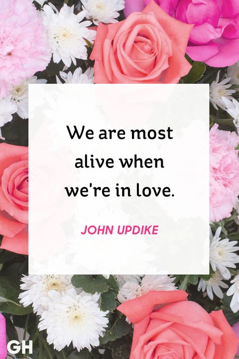 john updike love quote