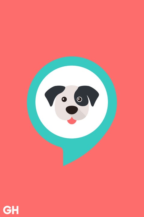 16 Best Amazon Alexa Skills - Top List of Cool Alexa Skills 16 Best Amazon Alexa Skills - Top List of Cool Alexa Skills
