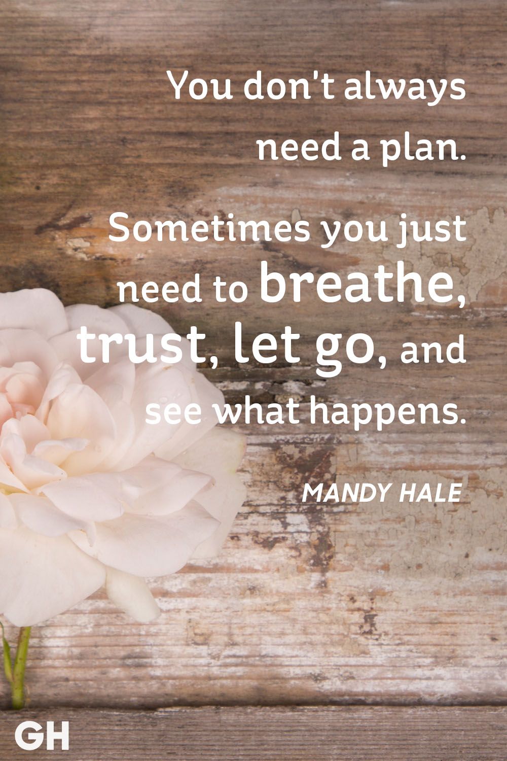 mandy hale inspirational quote