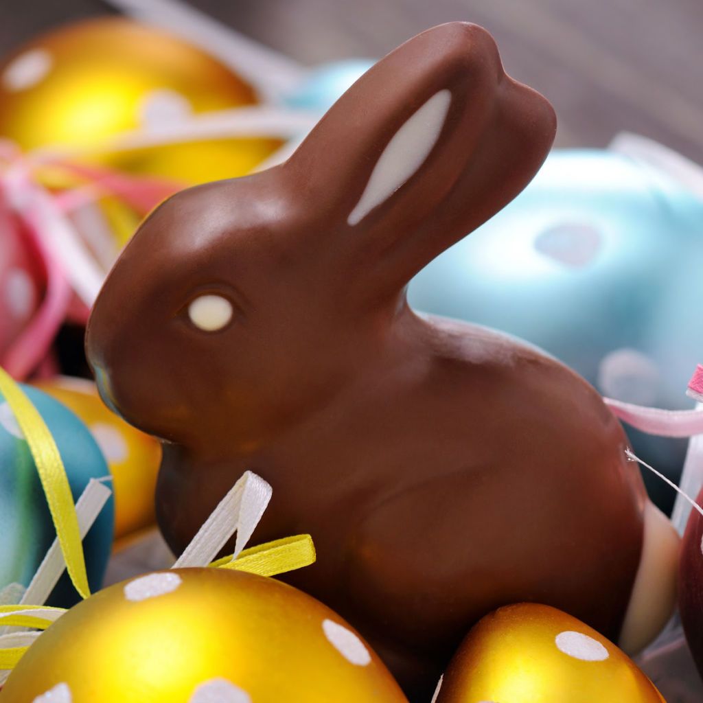 Easter Facts Chocolate Bunny Colorful Polka Dot Eggs