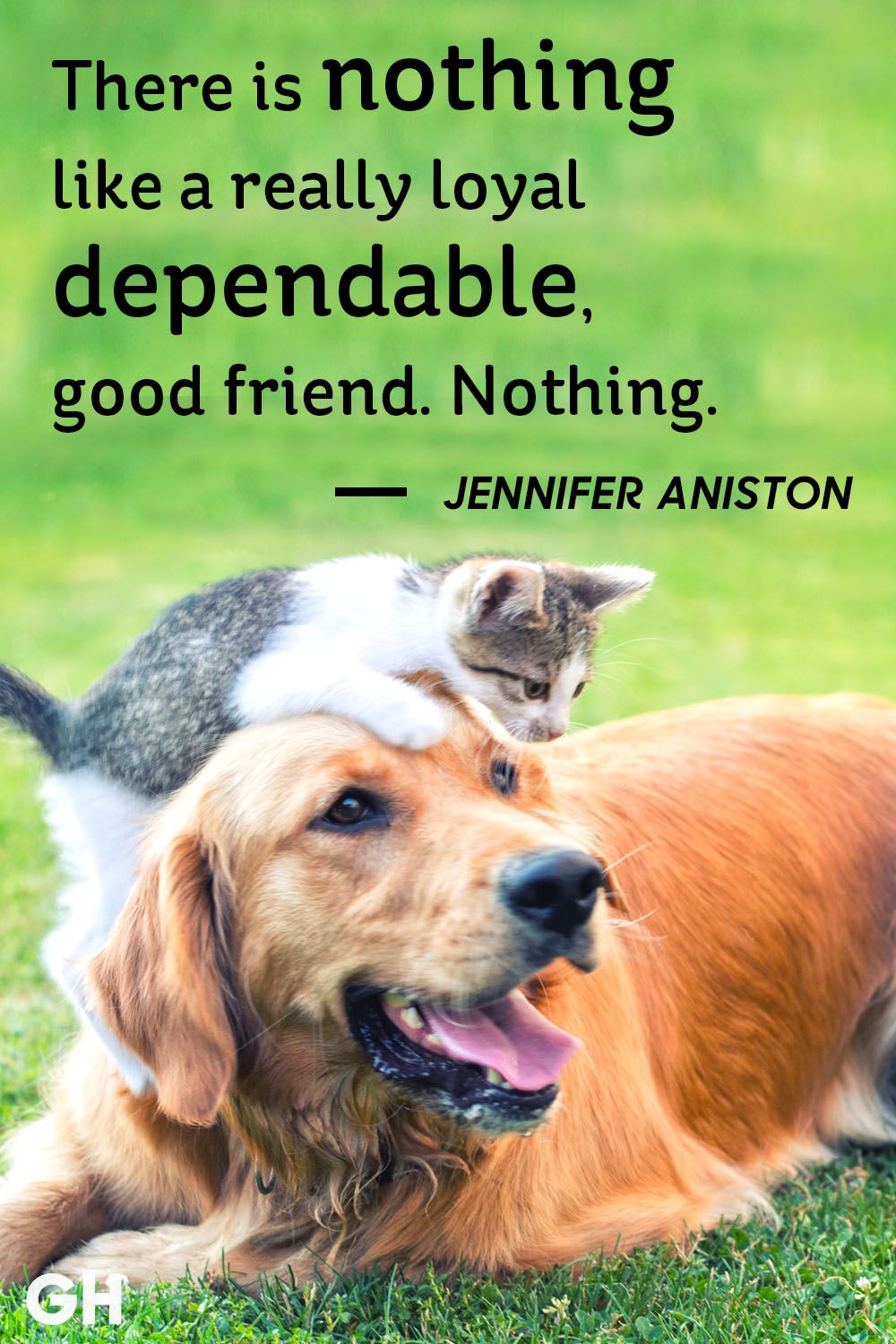 25 short friendship quotes for best friends cute sayings about friends