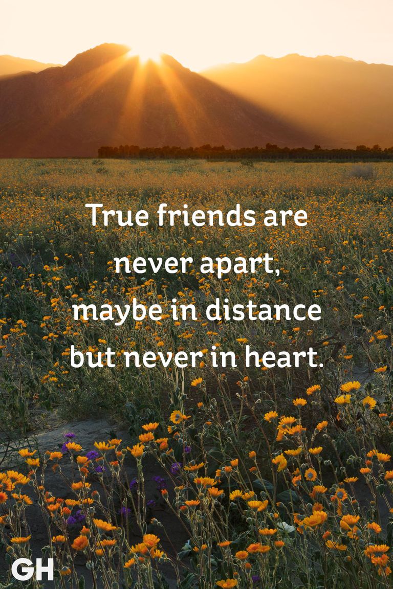 20 Short Friendship Quotes to Share With Your Best Friend - Cute