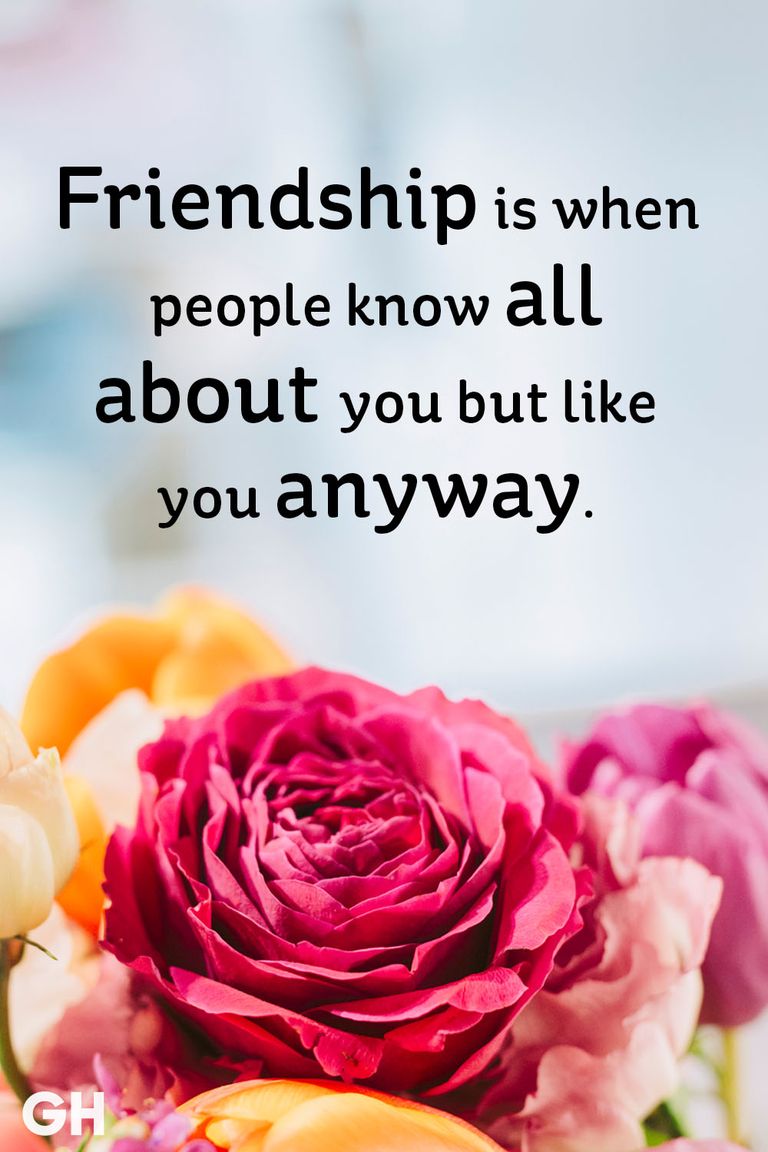 20 Short Friendship Quotes to Share With Your Best Friend - Cute ...