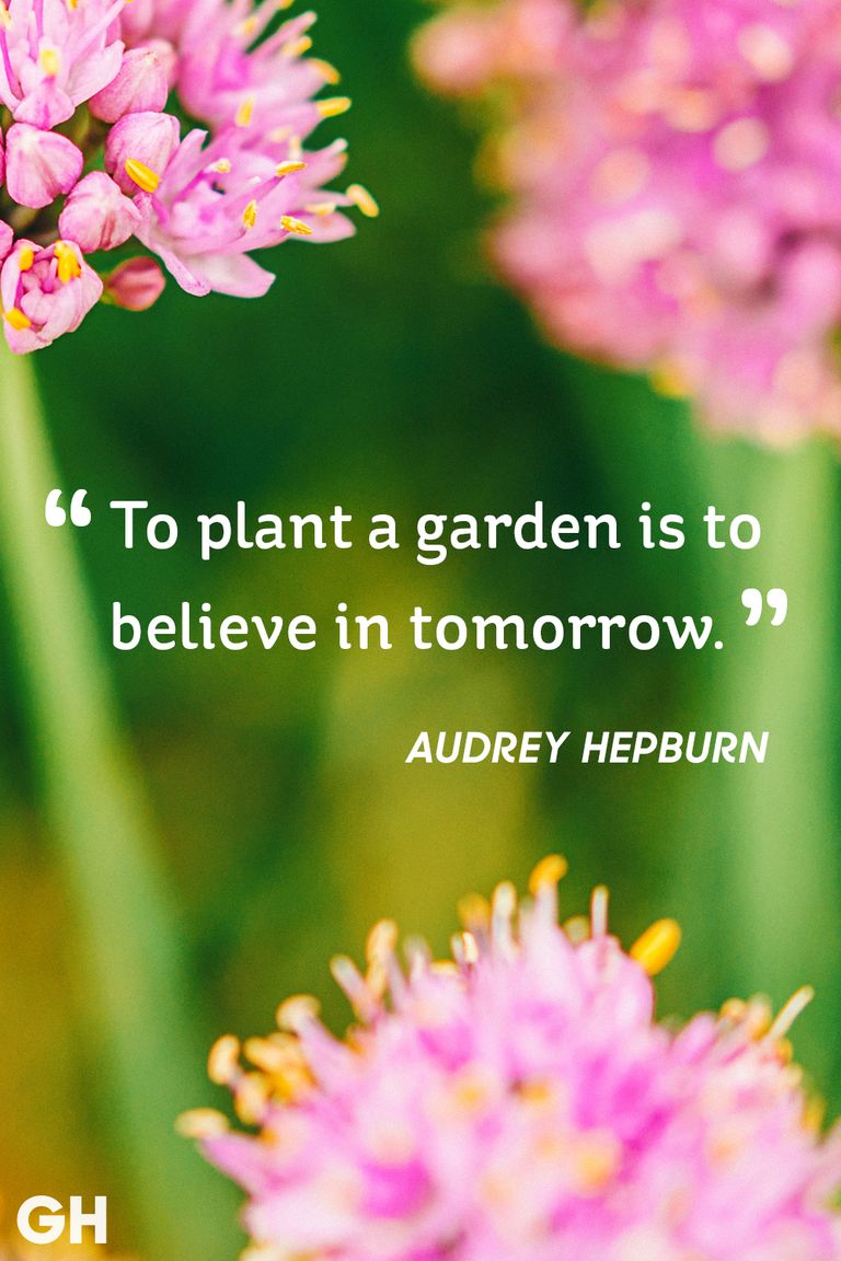 20 Happy Spring Quotes - Sayings About Spring and Flowers