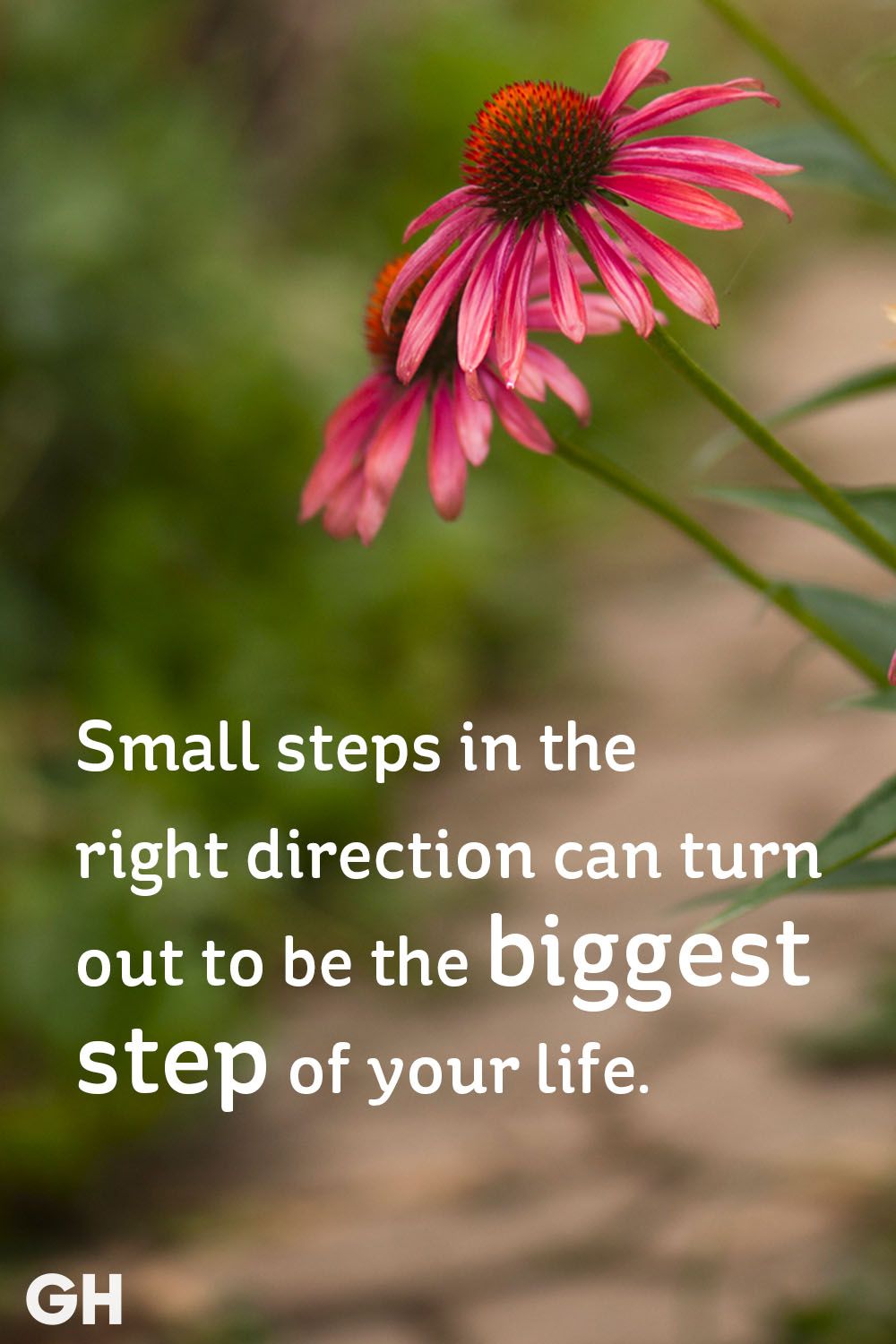 21+ Inspirational Quotes About Small Steps - Richi Quote