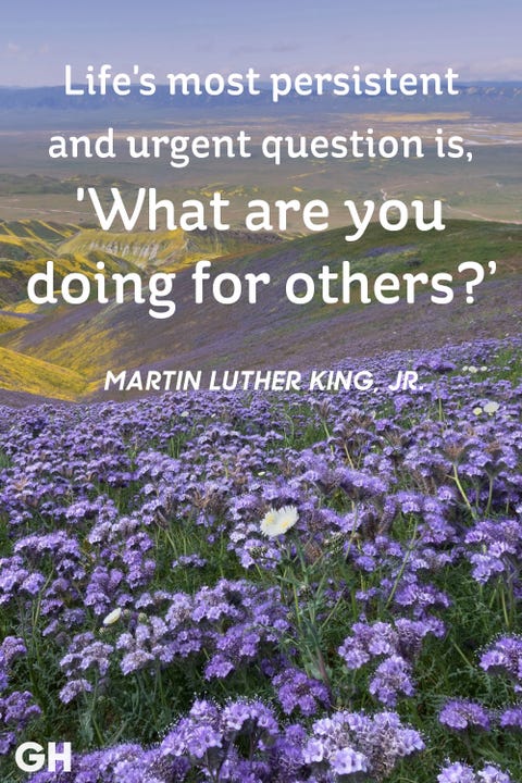 40 Inspirational Quotes About Life Beautiful Famous Life Quotes Adorable Wonderful Quotes Usi Comg Flowers 40 Inspirational Quotes About Life Beautiful Famous Life Quotes Adorable Wonderful Quotes Usi Comg Flowers