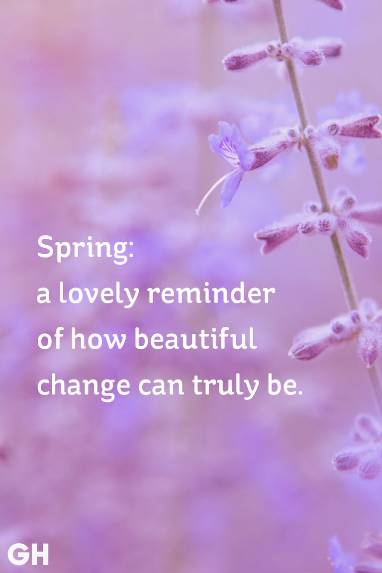 20 Happy Spring Quotes Sayings About Spring and Flowers