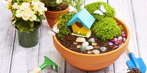 16 Best Fairy Garden Ideas Fairy Garden Supplies And Accessories