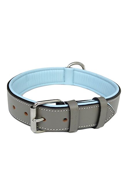 cute dog collars for males