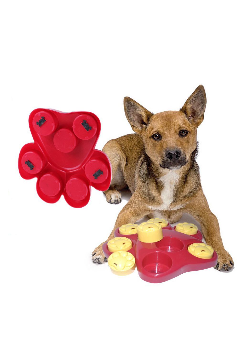 dog toys for boys