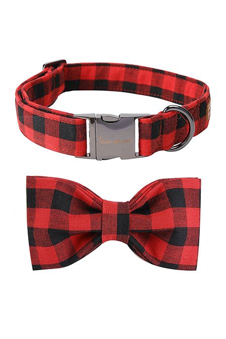 Red, Plaid, Bow tie, Fashion accessory, Pattern, Tartan, Design, Collar, Tie, Dog collar, 