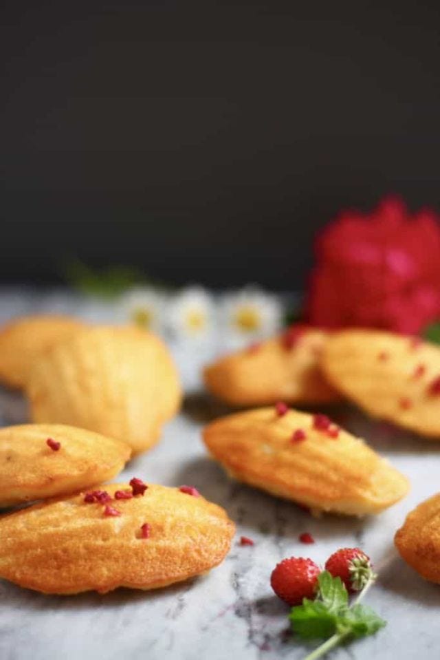 20 Easy and Delicious Vegan Cookie Recipes - How to Make Vegan Cookies