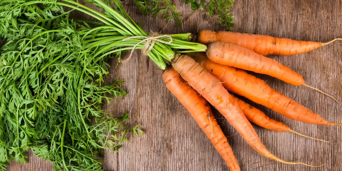 Carrot Nutrition Facts - Health Benefits of Carrots