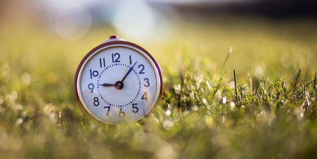 Clock, Nature, Macro photography, Close-up, Morning, Grass, Photography, Spring, Sky, Home accessories, 