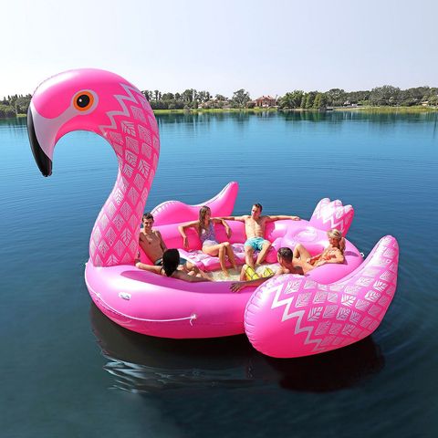 Pink, Water transportation, Water bird, Bird, Flamingo, Boat, Swan boat, Vehicle, Inflatable, Swan, 