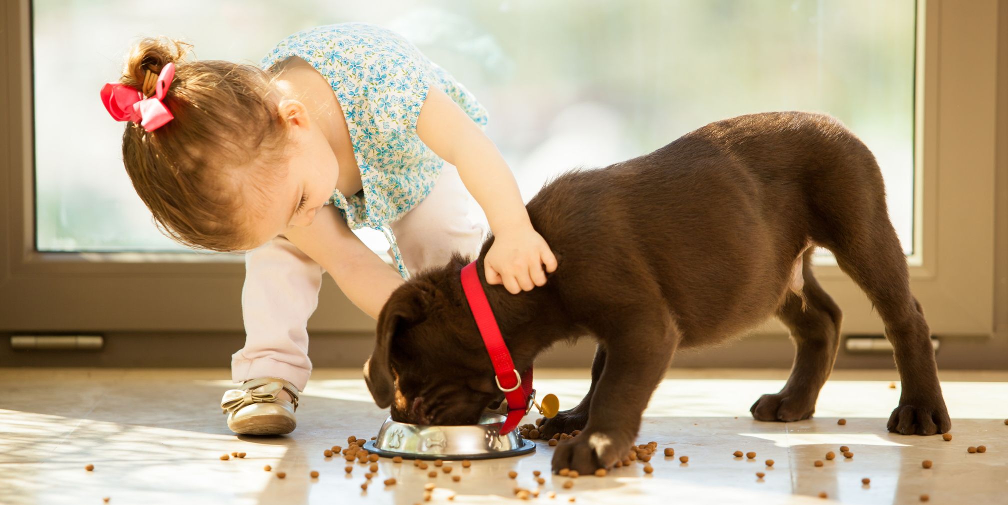 best dog breeds for babies