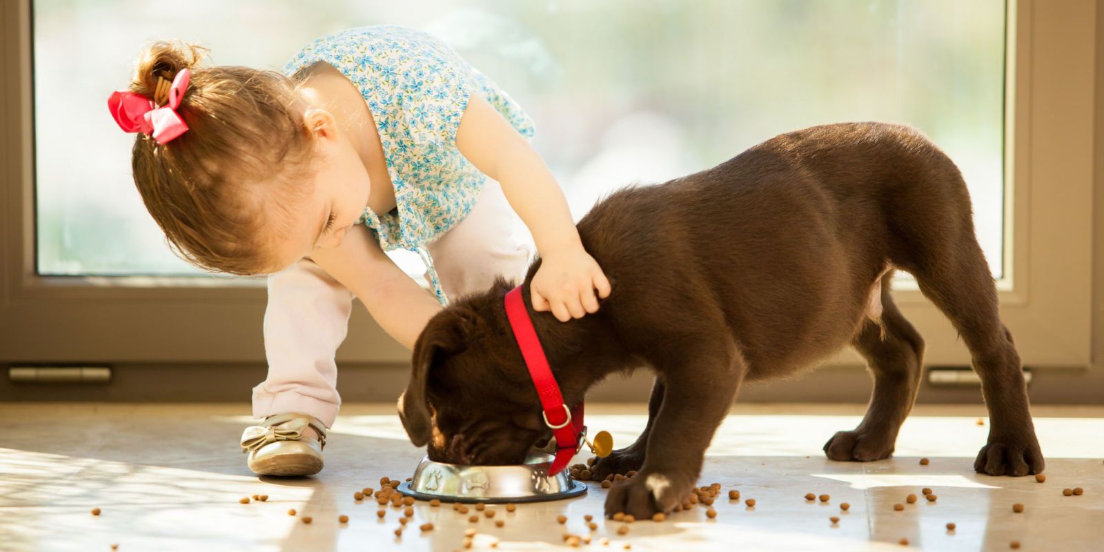 dog breeds good with babies