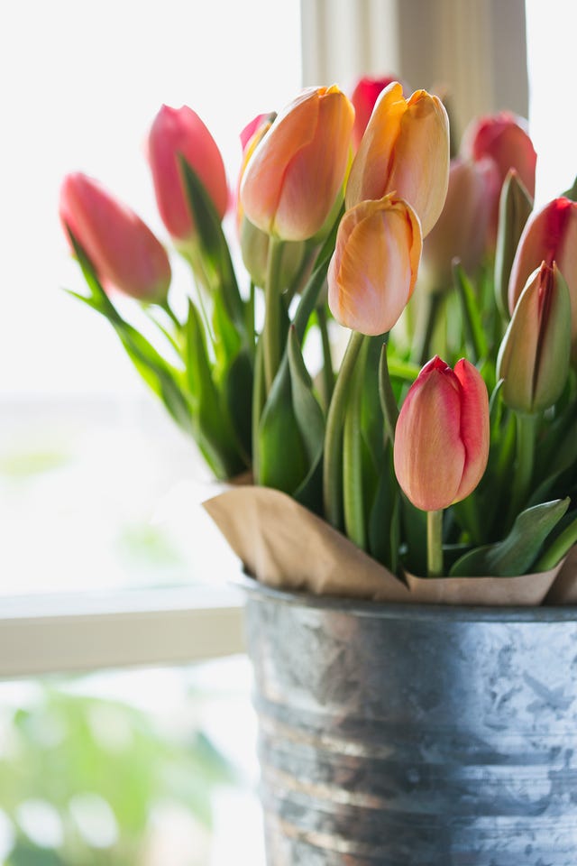 spring