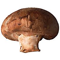 cabbage-and-mushroom-pie-414
