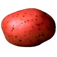 chili-potato-packet-981