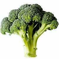 broccoli-noodle-casserole-922-200