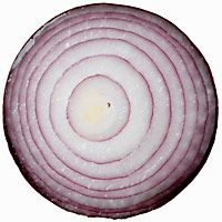 caramelized-onions-2573