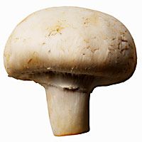 chicken-creamy-mushroom